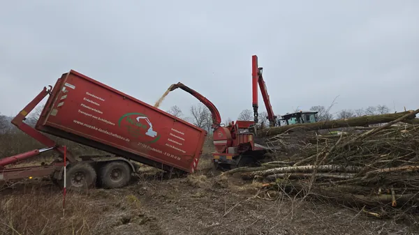 Forstbau stammzerkleinerung Biber 85